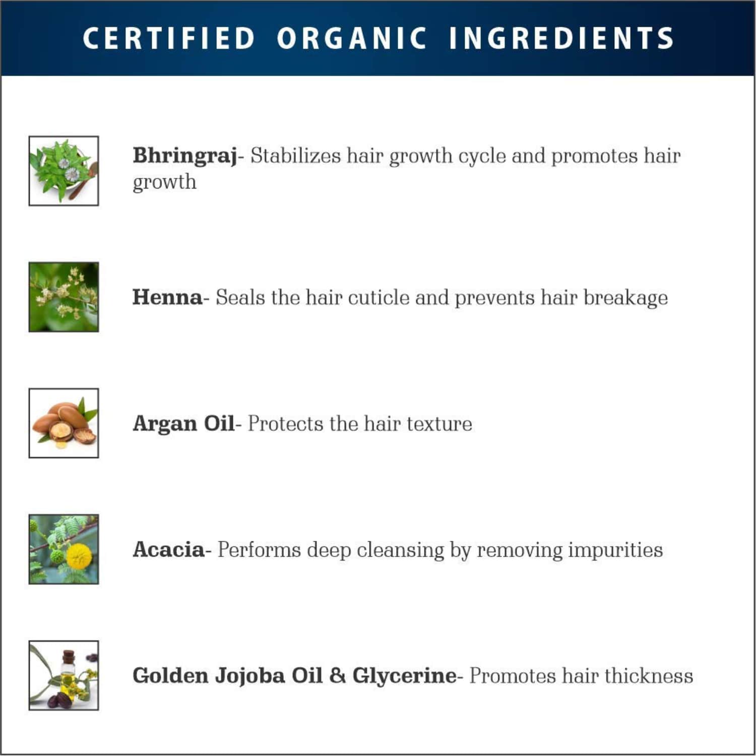 Amazing Earth Beard Wash 2 In 1 Shampoo Conditioner for Men 100ml Certified Organic Nourish Healthy Hair