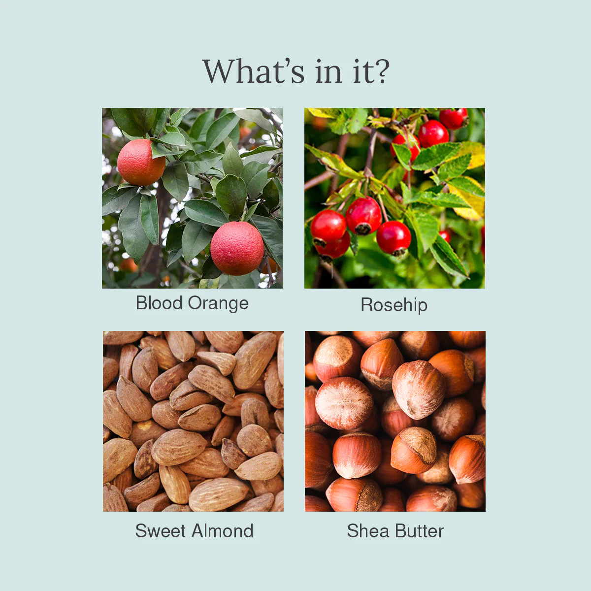 Juicy Chemistry Blood Orange Rosehip Lip Scrub 10g Gentle Exfoliating Scrub for Dark Lips Pigmentation