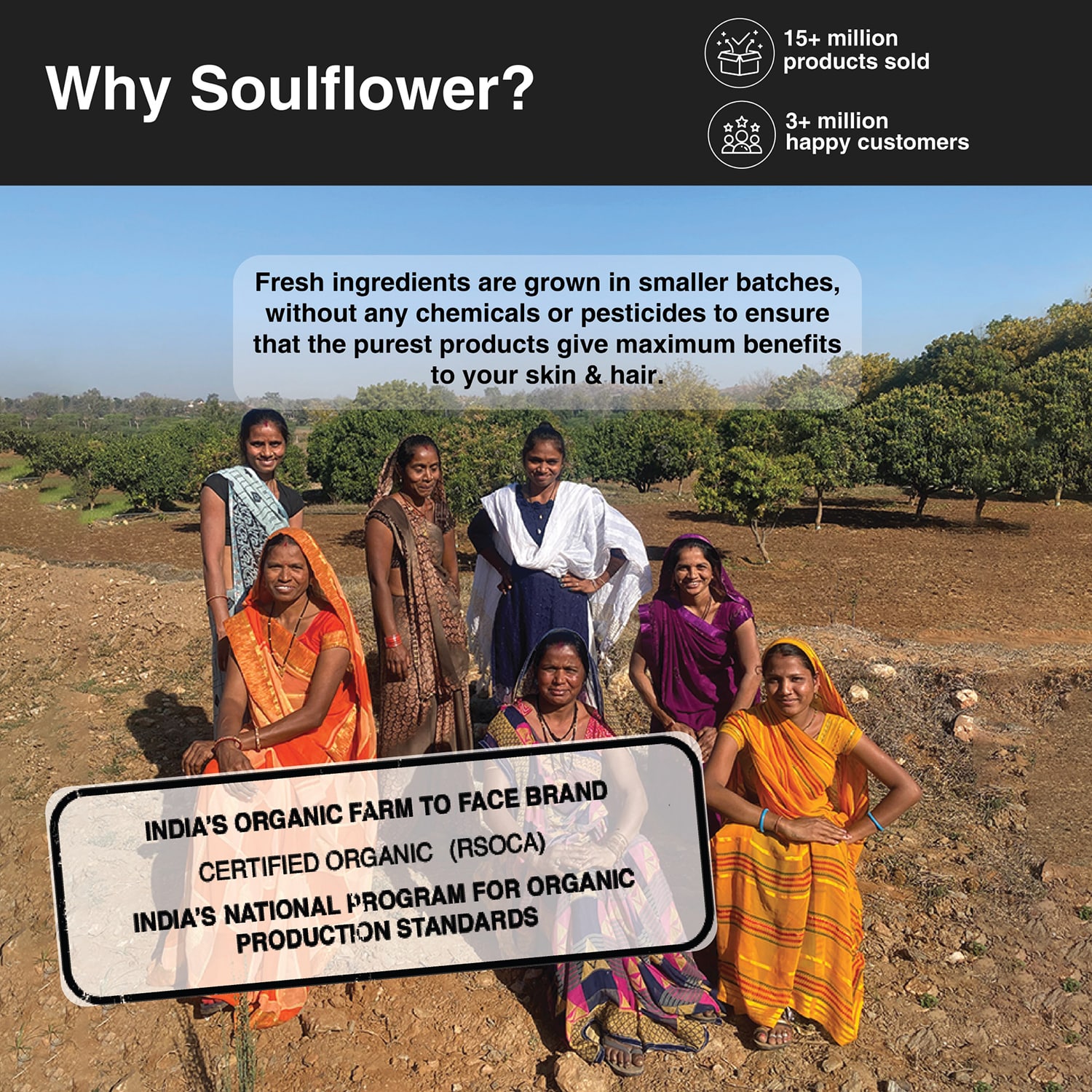 Soulflower Coldpressed Castor Carrier Oil 225ml