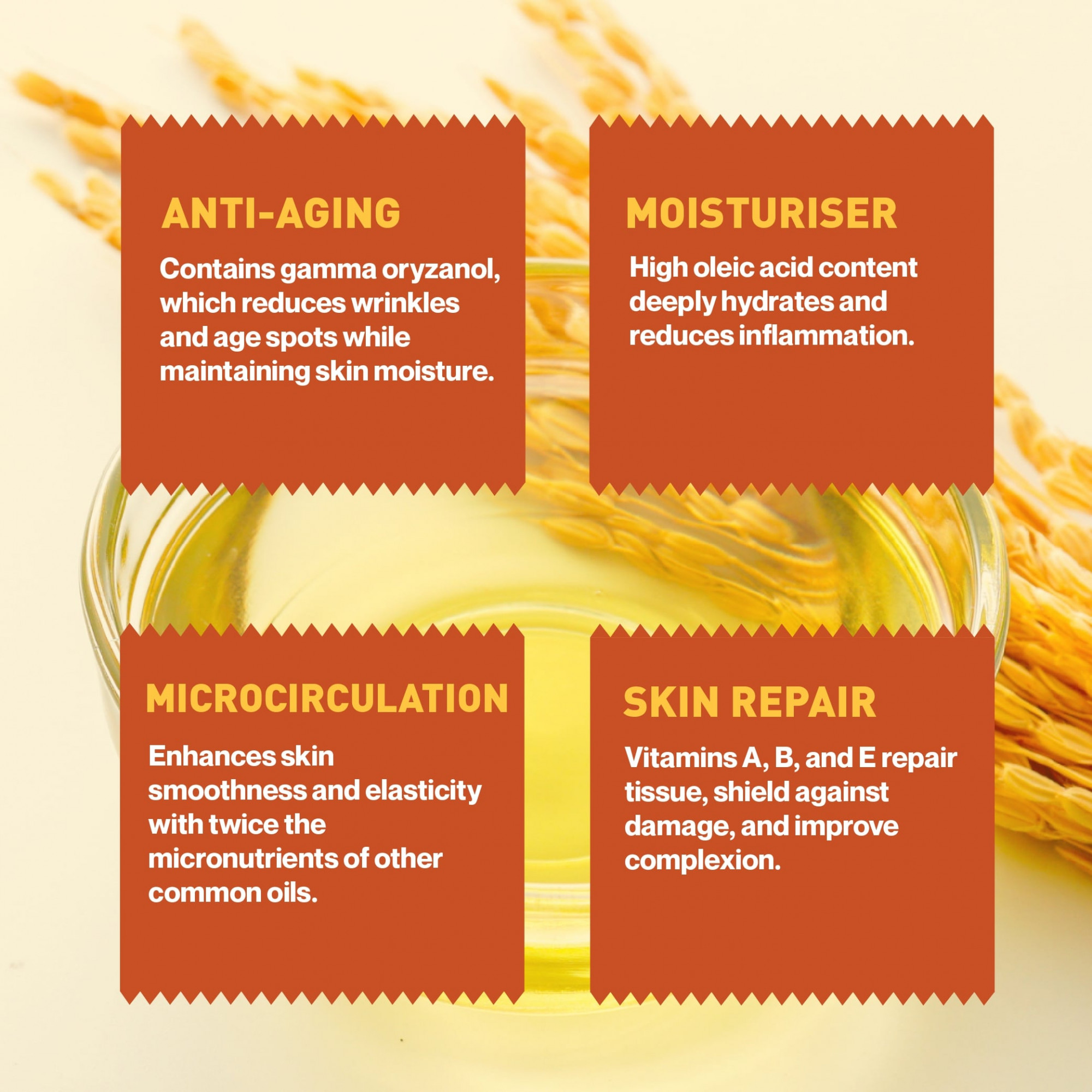 Zama organic Cold Pressed Rice Bran Oil - 500 Ml