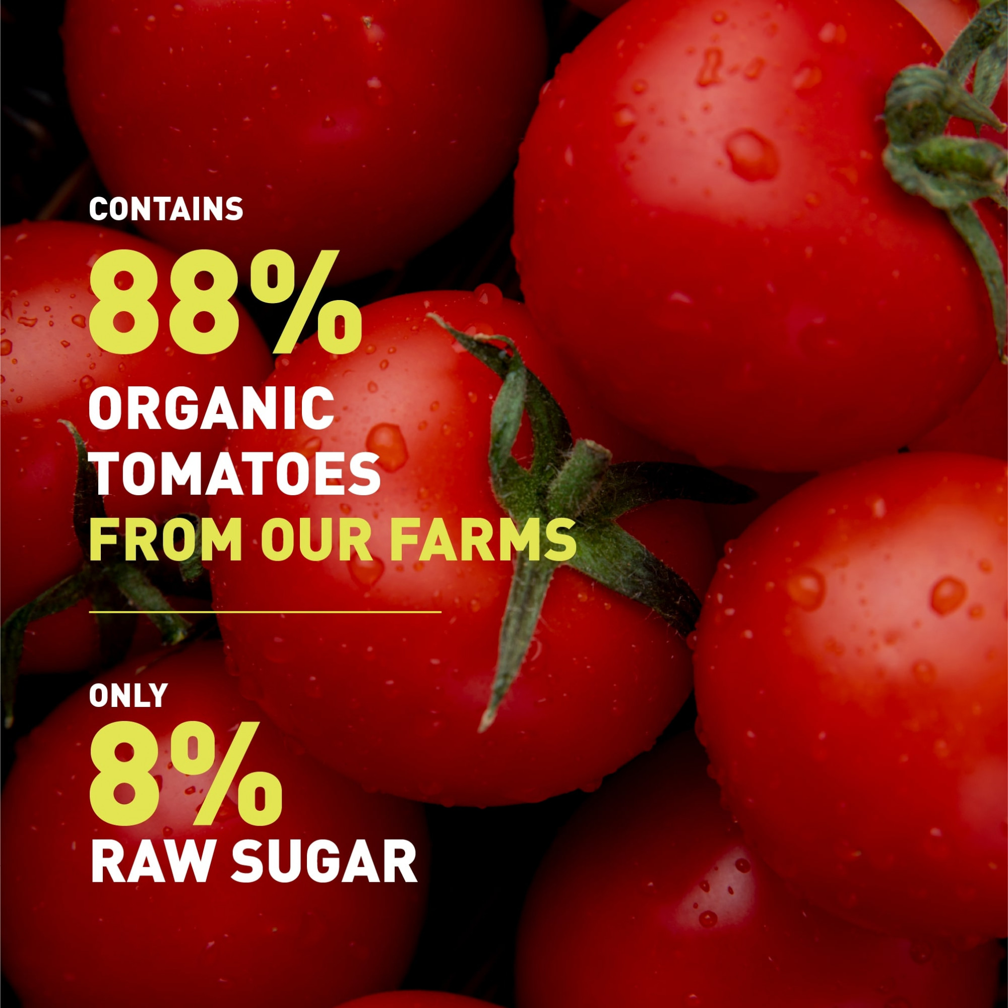 Zama organic Organic Tomato Ketchup - 300 Gm