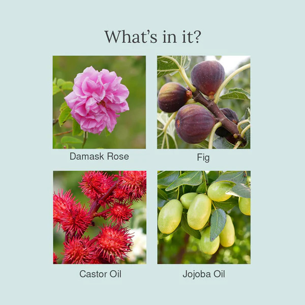 Juicy Chemistry Damask Rose  Fig Organic Lip Balm