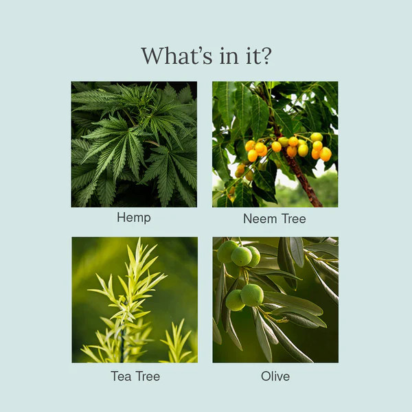 Juicy Chemistry Organic Hemp Tea Tree Neem Face Wash - 100 Ml