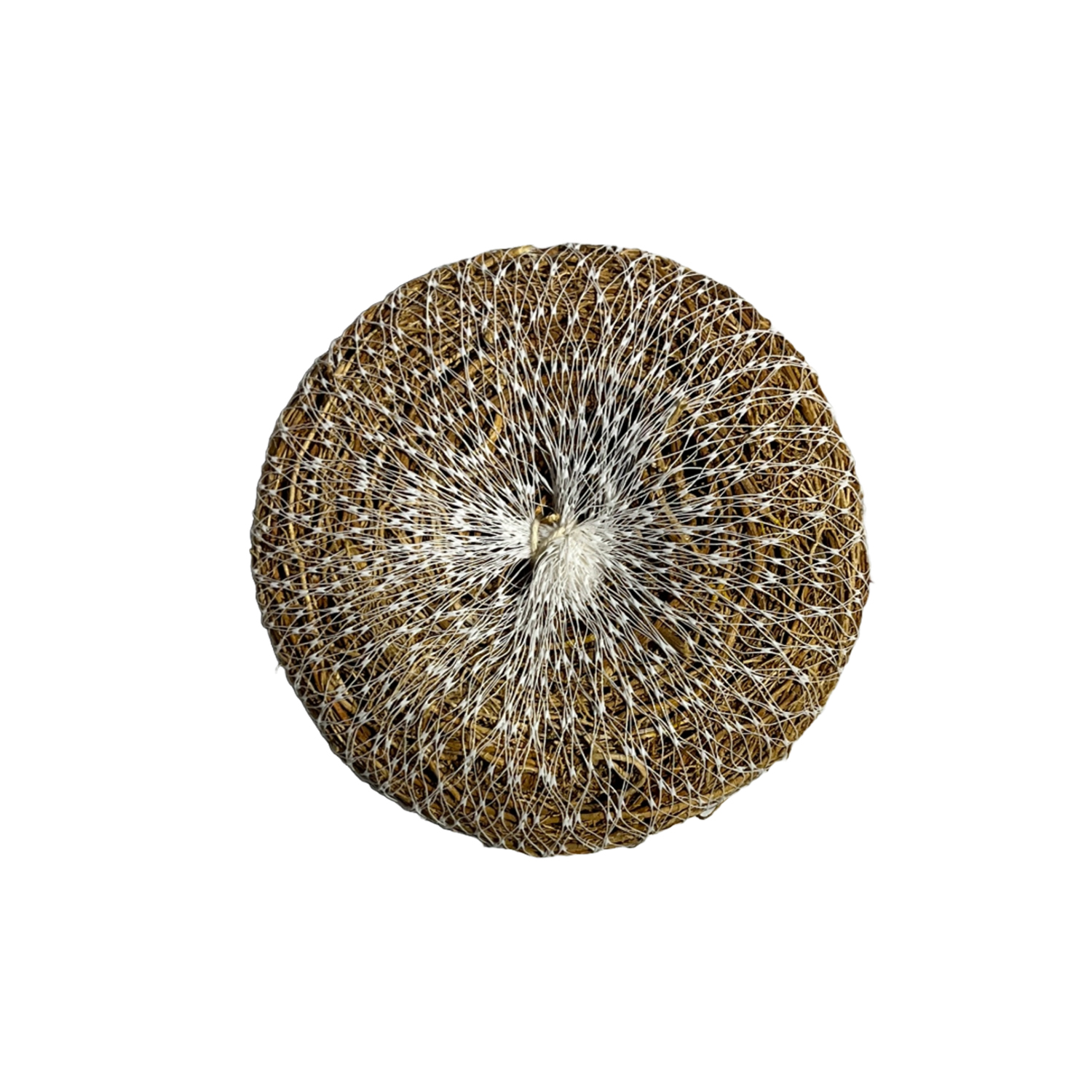 Vetiver Lofah Single Qty