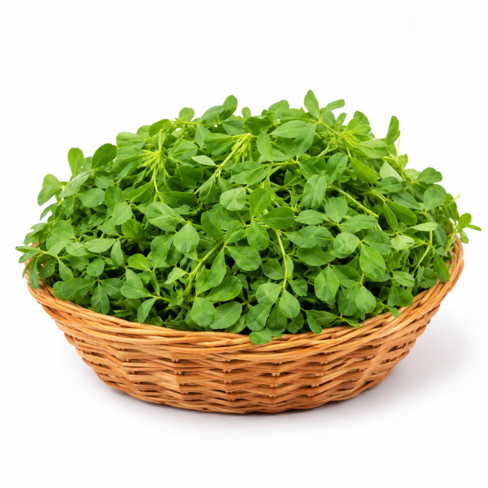 Image of ORGANIC FRESH FENUGREEK LEAVES SMALL