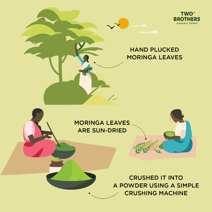 Two Brothers Moringa Powder Chemical-Free Lab-Tested - 100 GM
