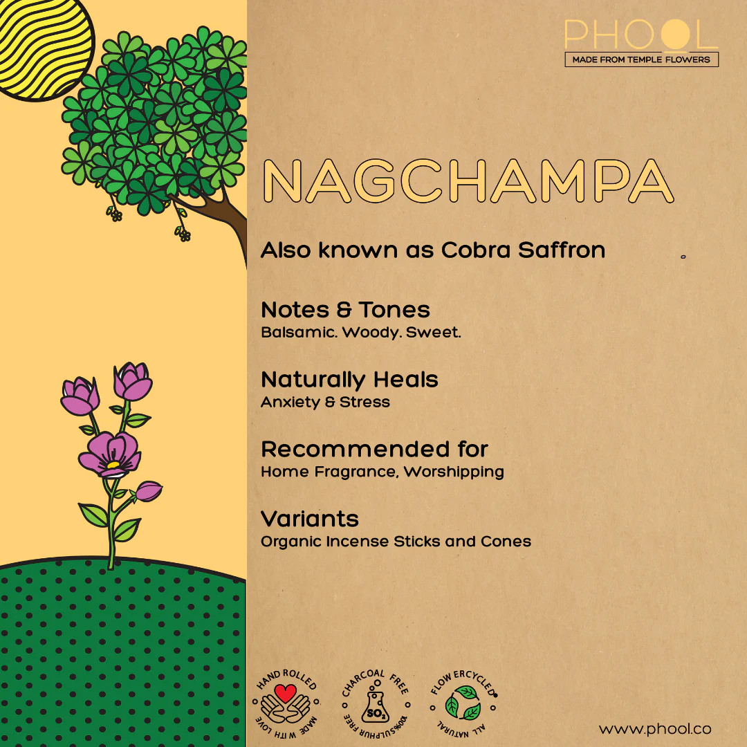 Phool Natural Incense Cones Nagchampa - 40 U