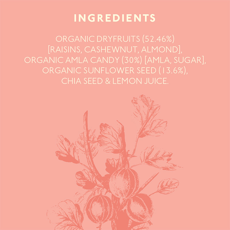 Nourish Organics Amla Cashews Bar 30g