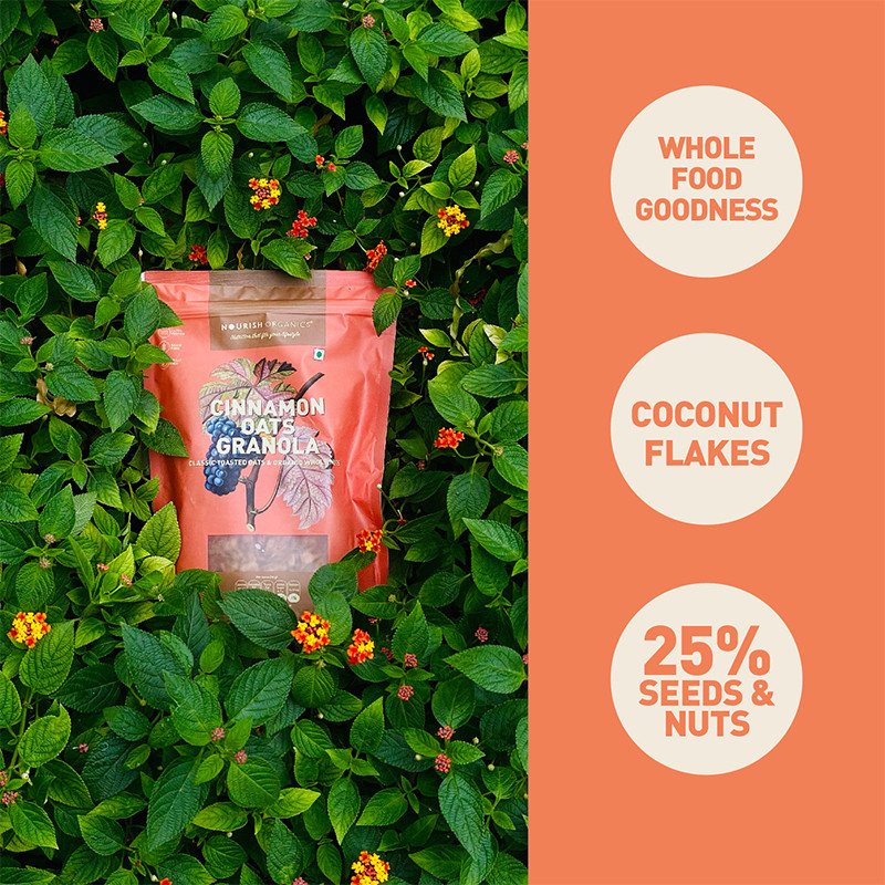 Nourish Organics Cinnamon Oats Granola 270g