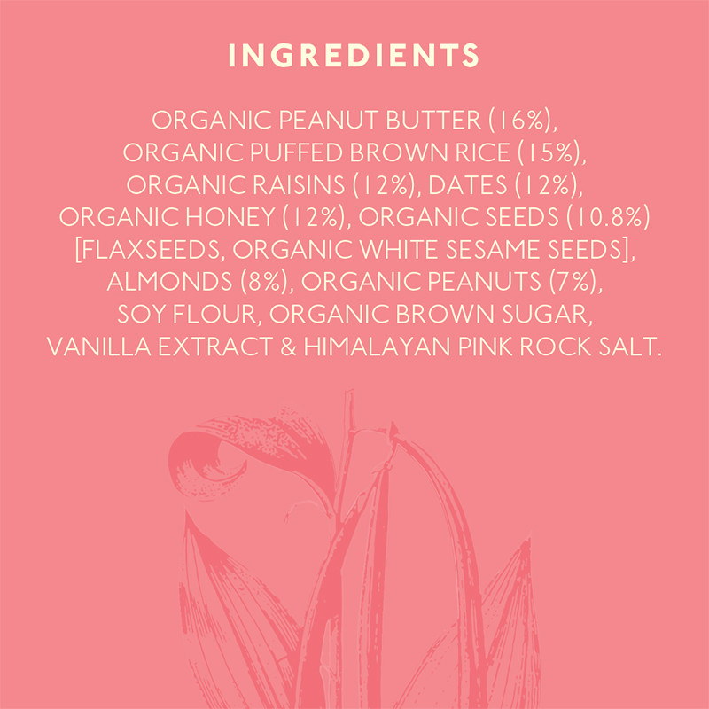 Nourish Organics Vanilla Nut Bar 30g