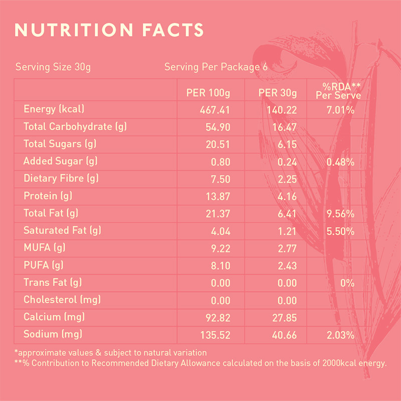 Nourish Organics Vanilla Nut Bar 30g