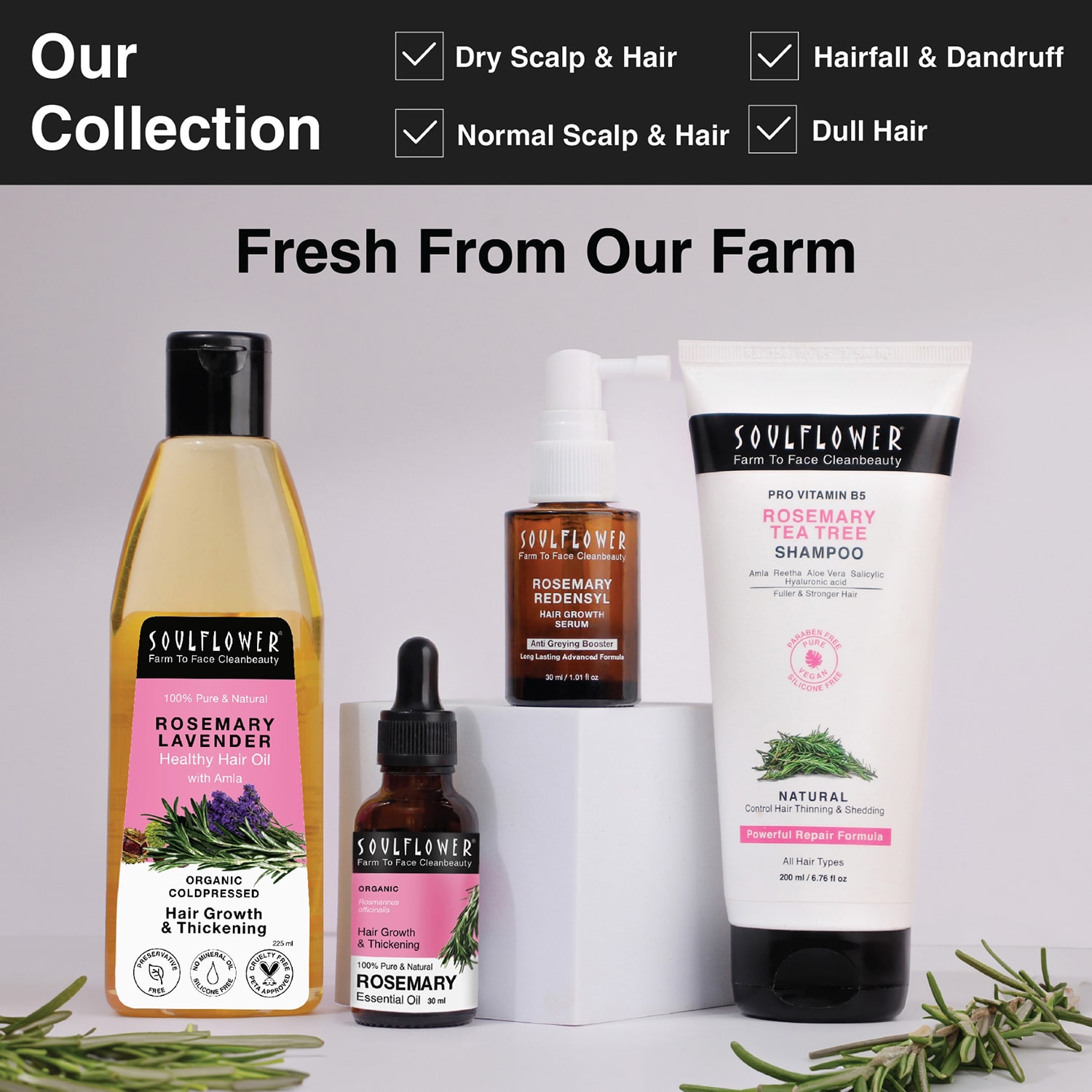 Soulflower Rosemary Essential Oil 15ml  for Hair Growth Hair Fall Control  Hair Nourishment Undiluted