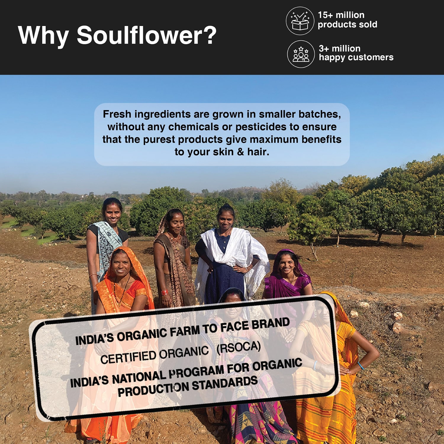 Soulflower Rosemary Essential Oil 15ml  for Hair Growth Hair Fall Control  Hair Nourishment Undiluted