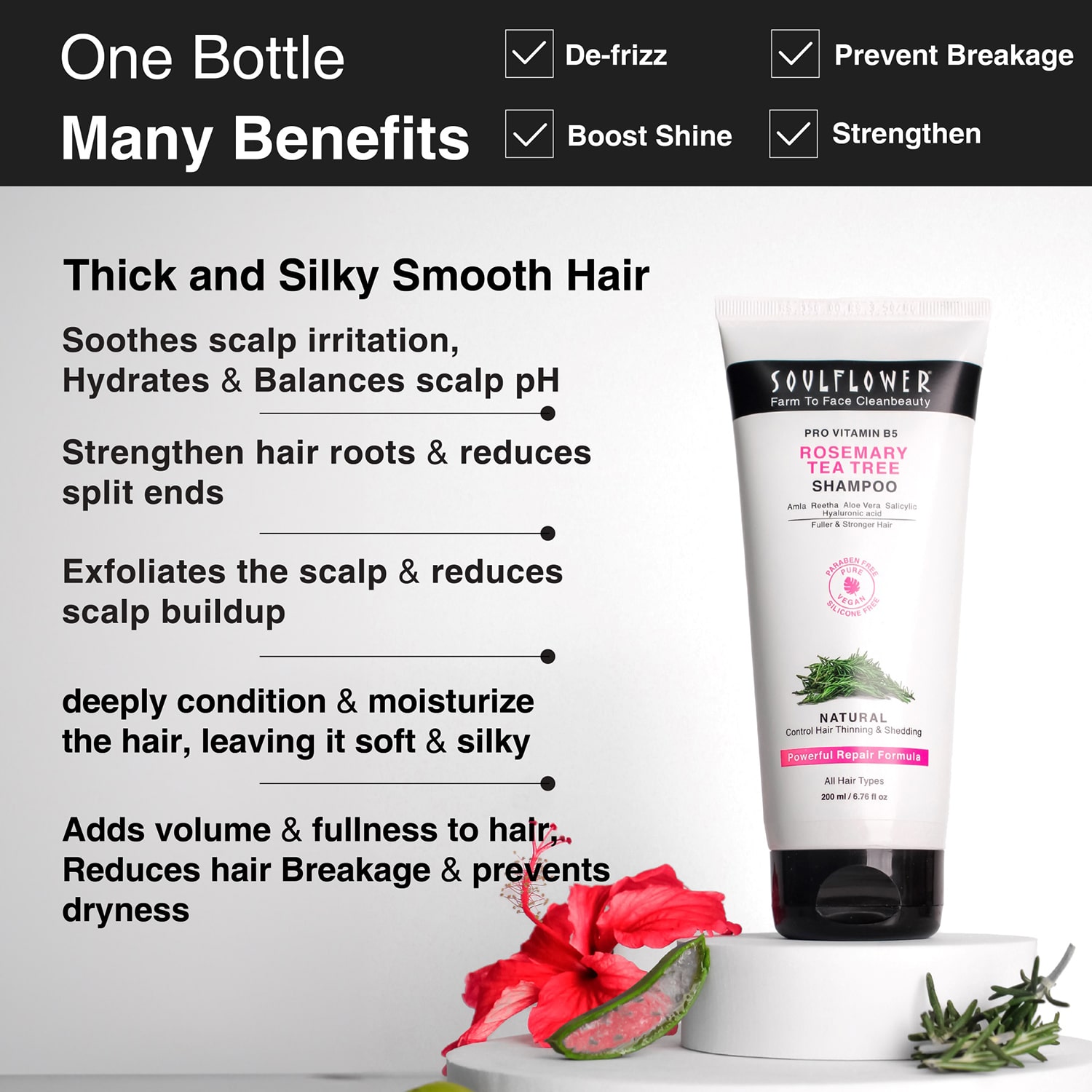 Soulflower Pro Vitamin B5 Rosemary Tea Tree Shampoo 200ml Controls Hair Thinning  Shedding