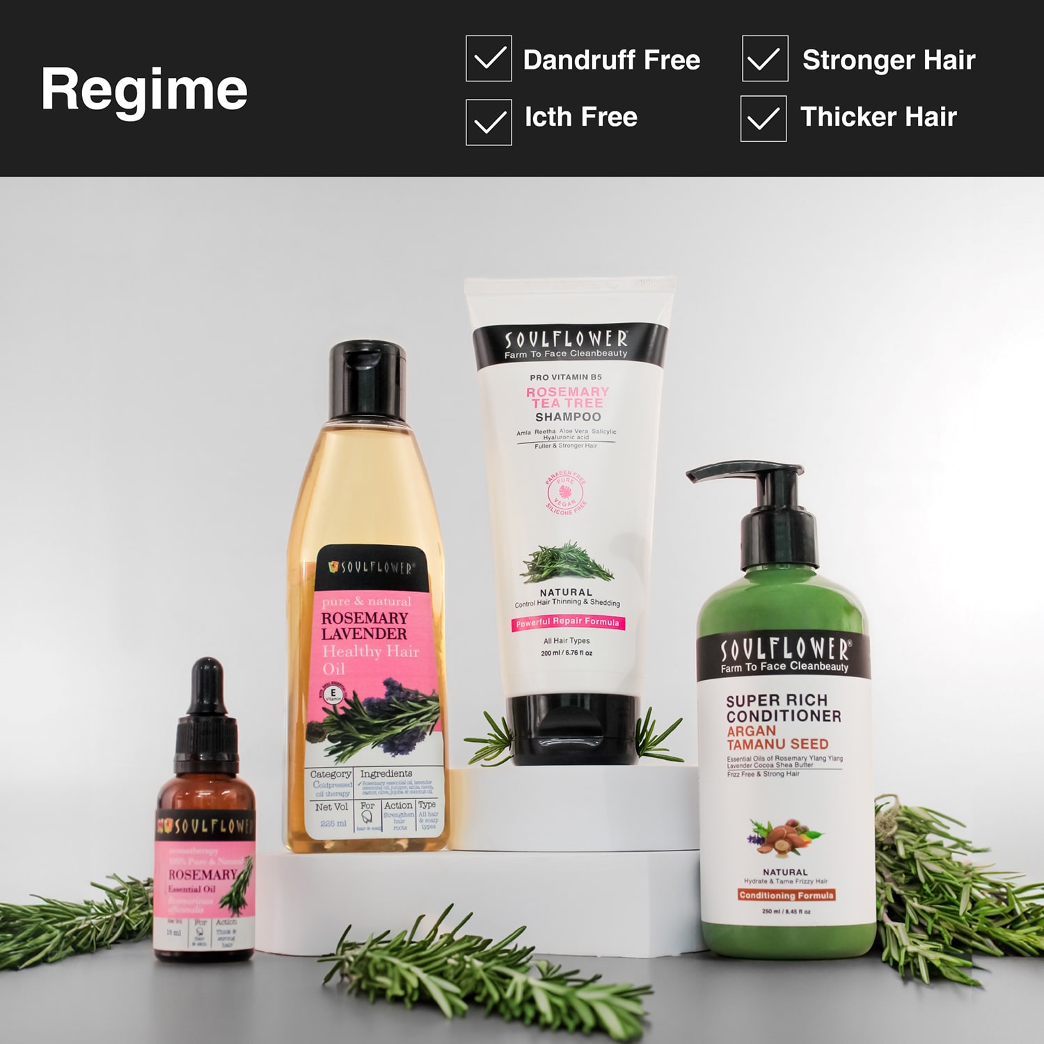 Soulflower Pro Vitamin B5 Rosemary Tea Tree Shampoo 200ml Controls Hair Thinning  Shedding