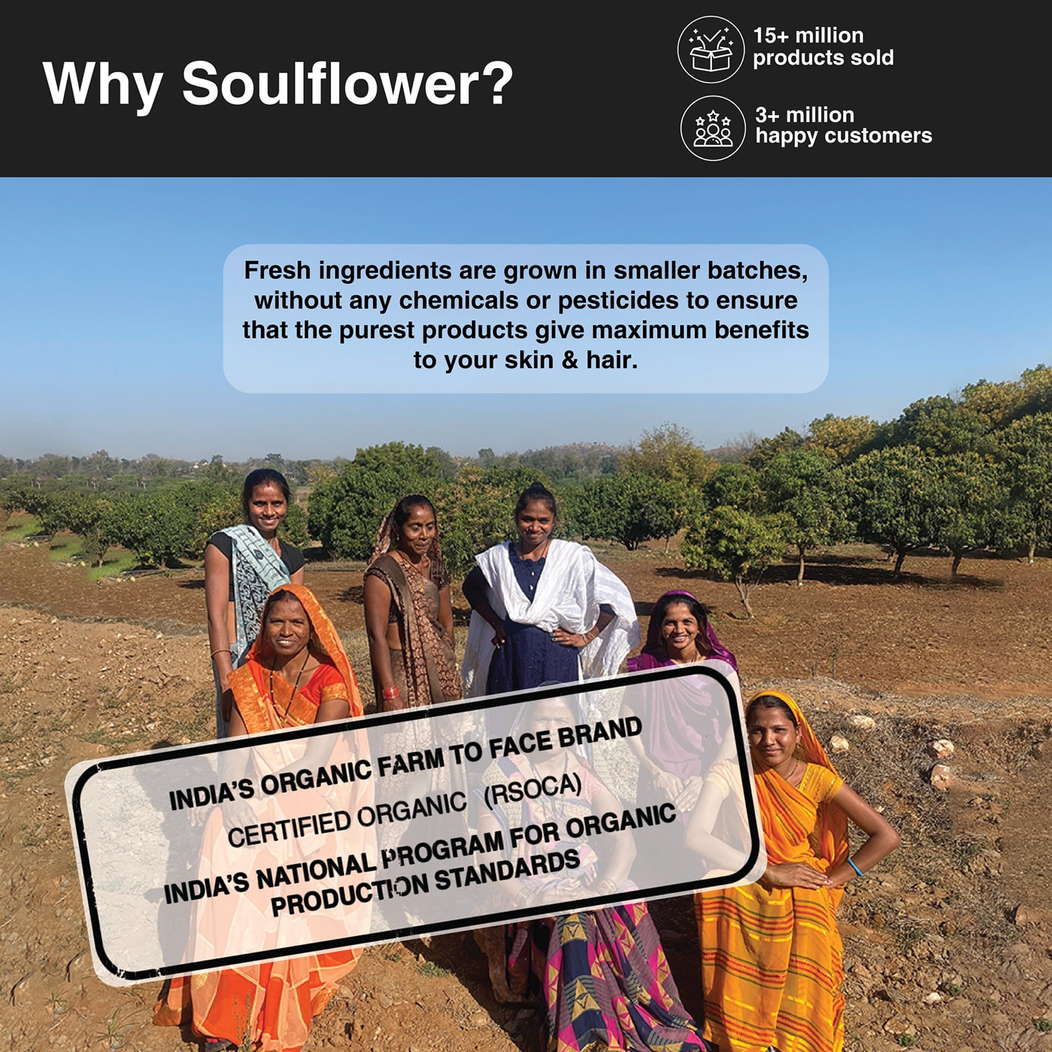 Soulflower Tea Tree Essential Oil 15ml for Dandruff and Acne