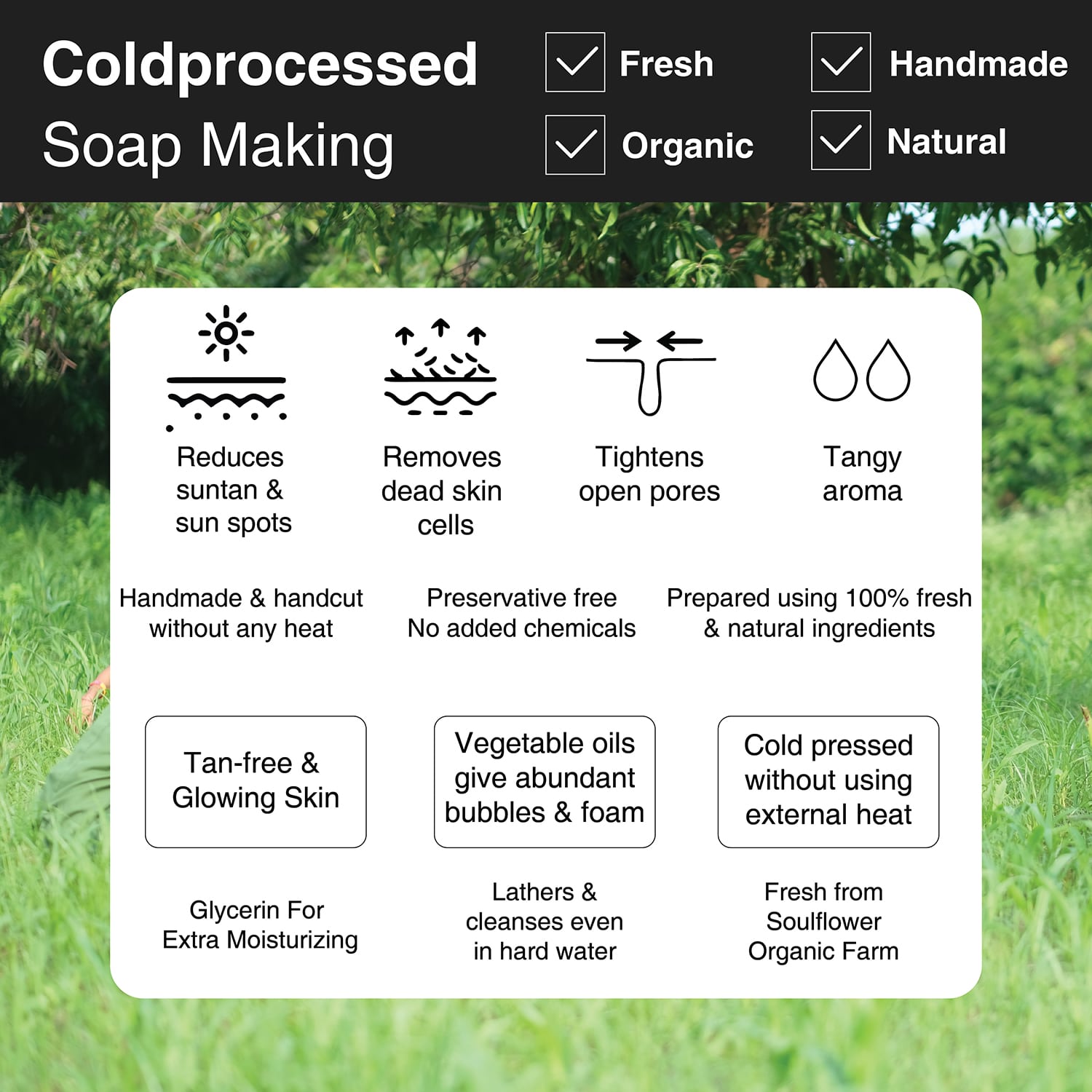 Soulflower Juicy Red Tomato Soap 150g