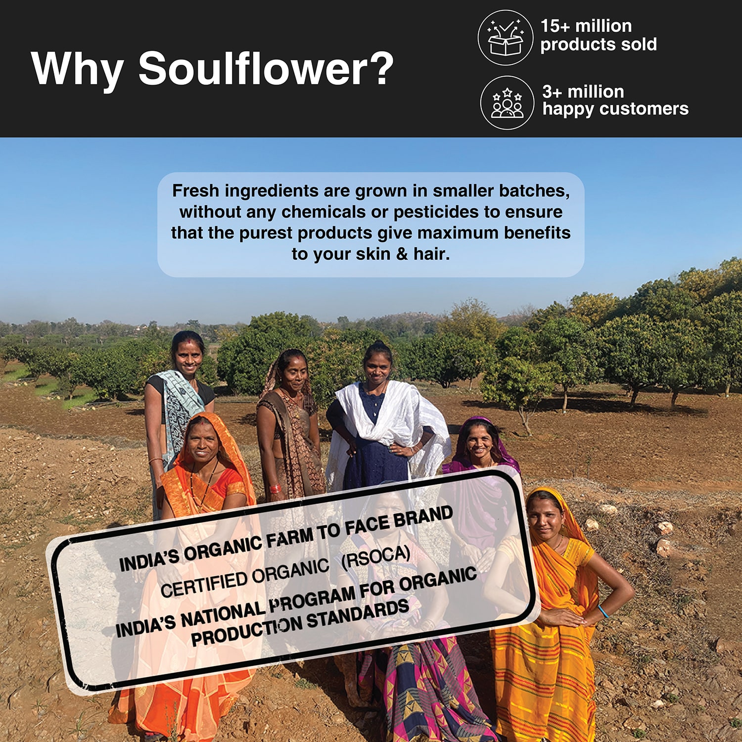 Soulflower Juicy Red Tomato Soap 150g