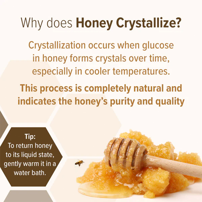 Conscious Food Wild Forest Honey 500g - Raw Unprocessed