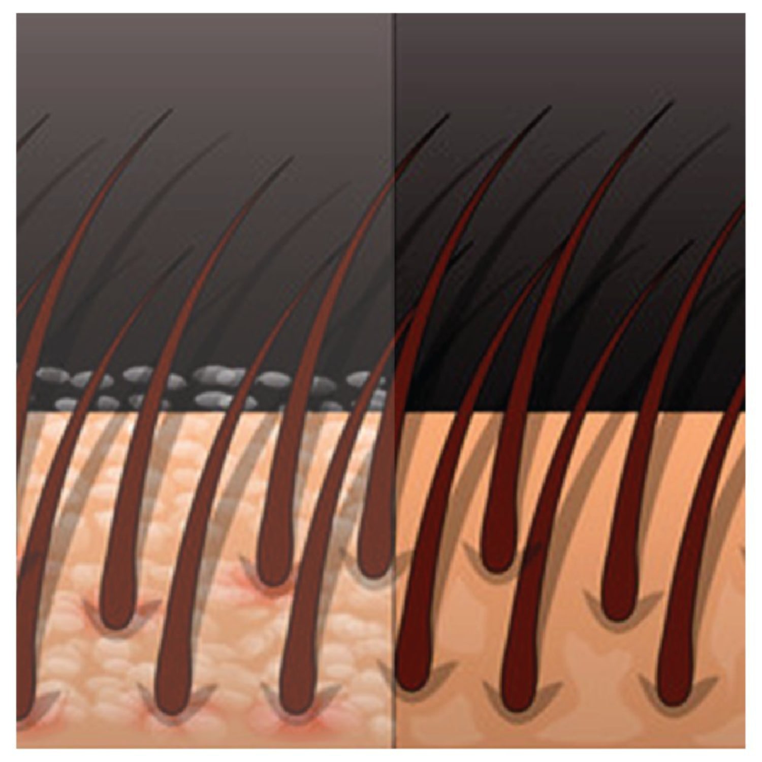 Vegetal 10 in 1 Shampoo 200ml Sulphate Paraben Free Shampoo Unisex For Dry and Damaged Hair