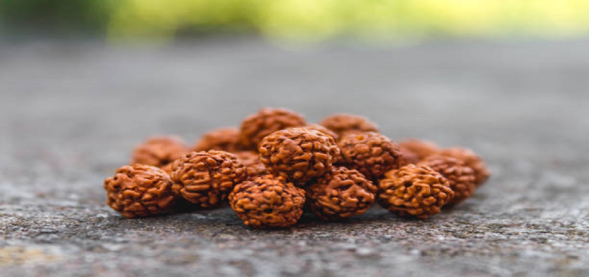 RUDRAKSH – The Power of Rudraksh