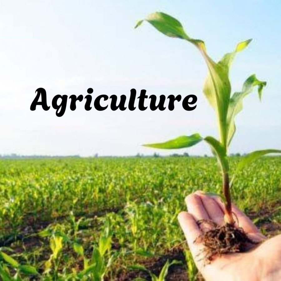 Agriculture / Farming