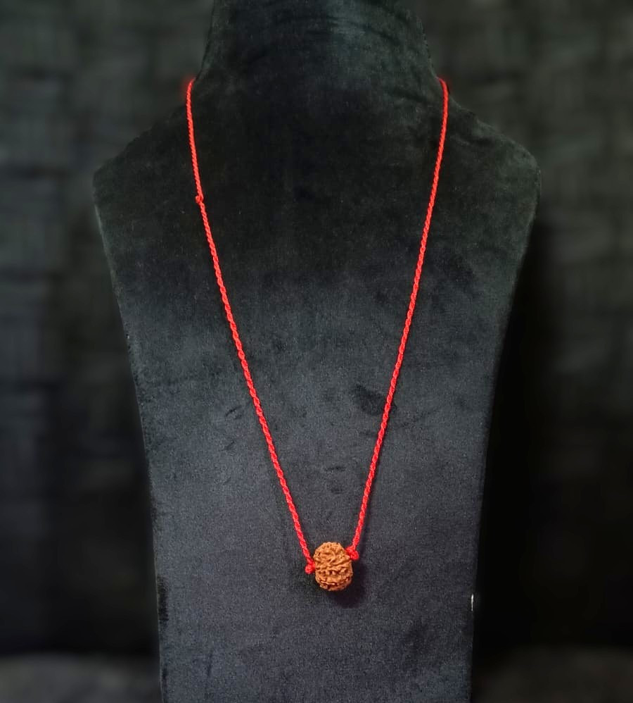 Natural 13 Mukhi Rudraksh Nepali