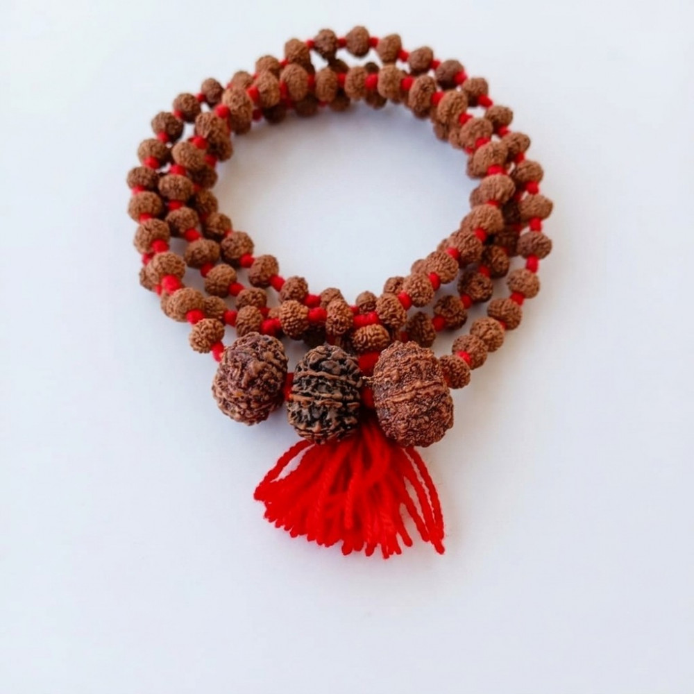 Image of 10 Mukhi Rudraksh Mala with 10 Mukhi Nepali Rudraksh Beads