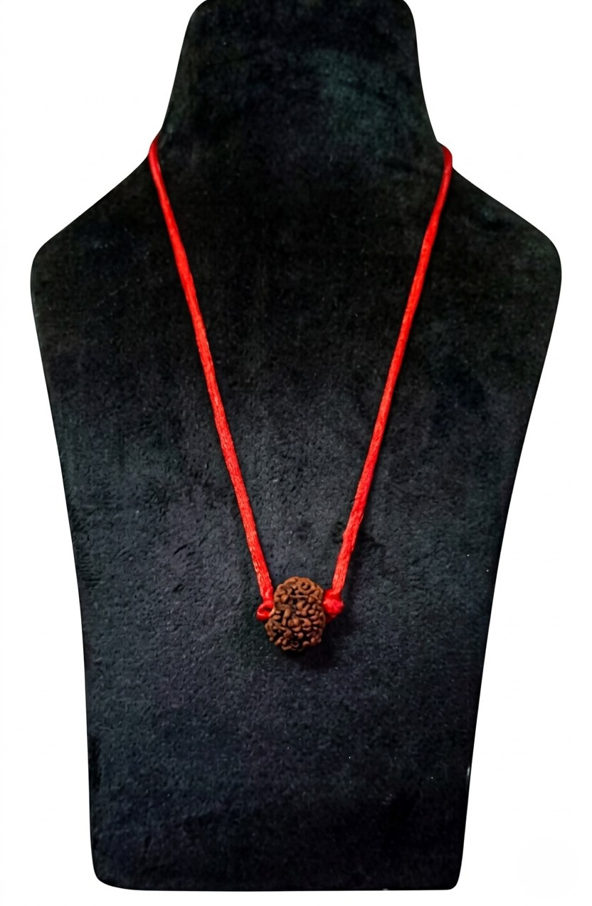 Natural 11 Mukhi Collector Rudraksh Nepali