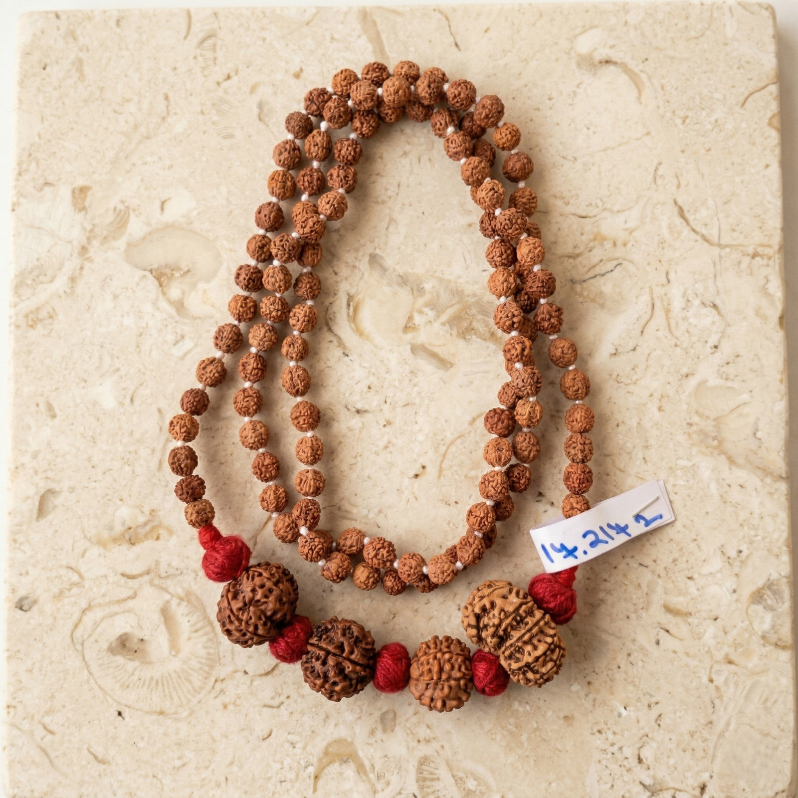 Nepali Rudraksh Combination with Rudraksh Mala