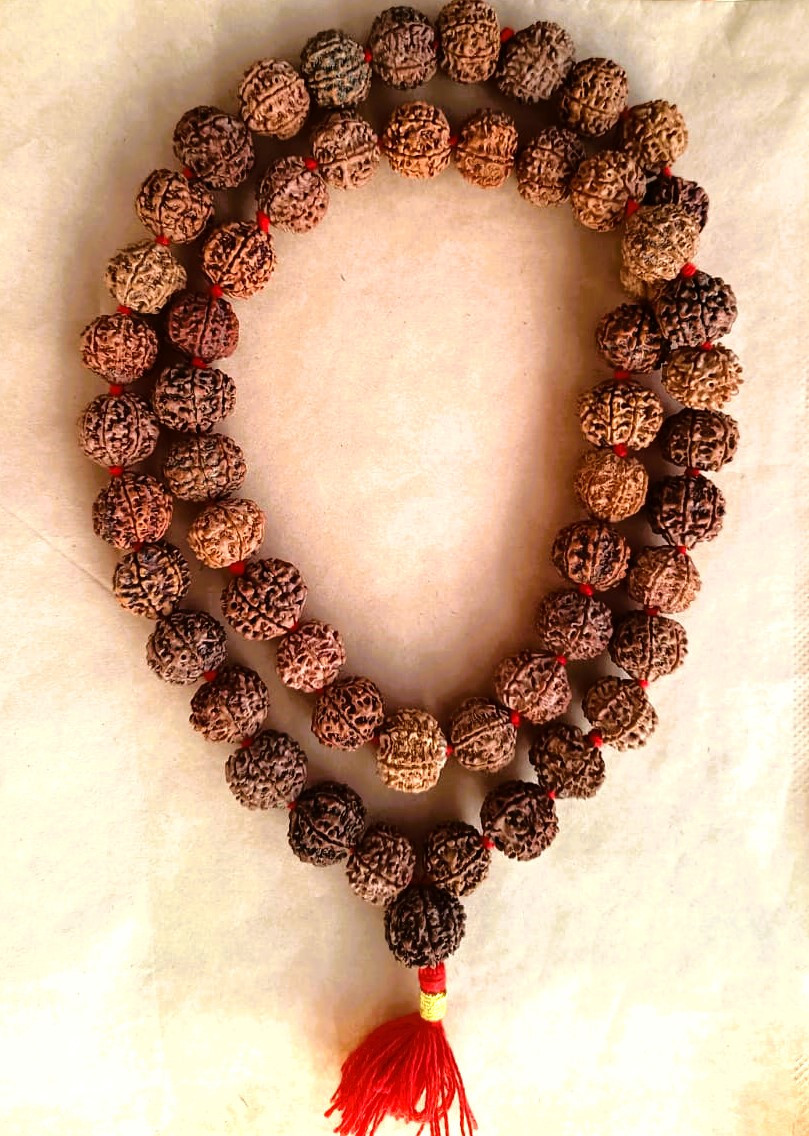 7 Mukhi Nepali Rudraksh Mala 541 Beads 19-20MM Approx