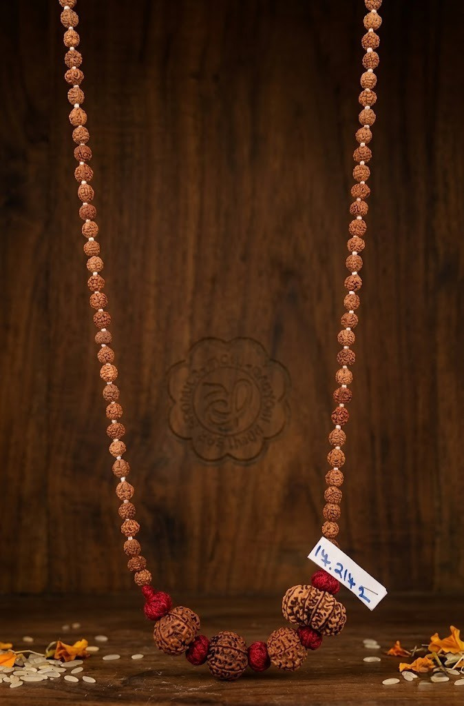 Nepali Rudraksh Combination with Rudraksh Mala