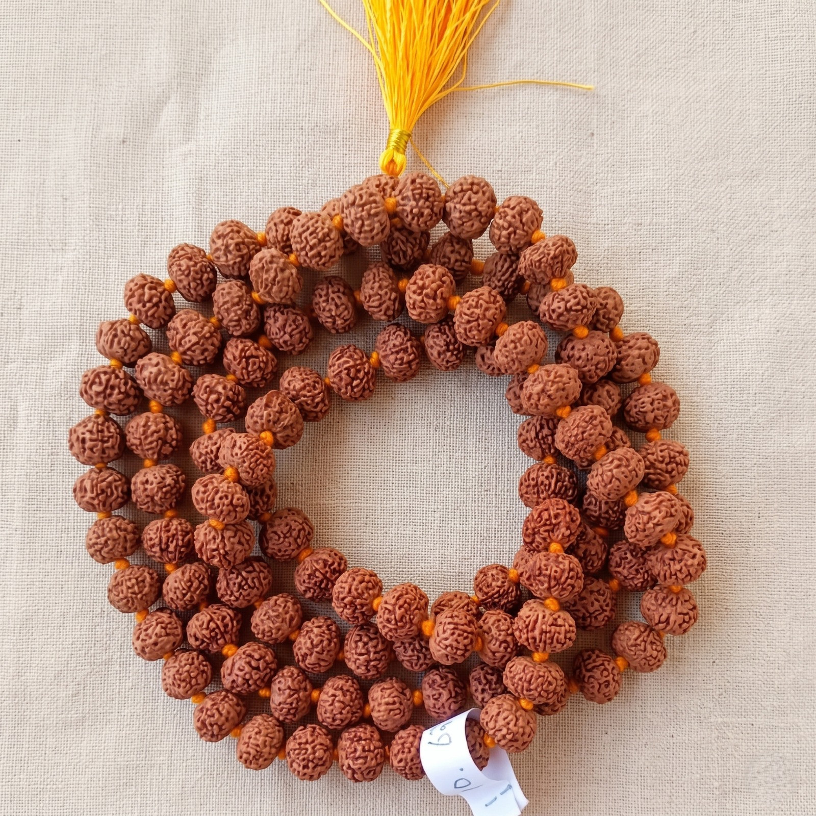 10 Mukhi Rudraksh Mala 12 MM Approx