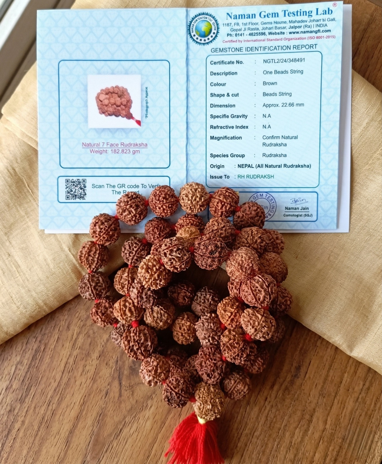 7 Mukhi Nepali Rudraksh Mala 541 Beads 19-20MM Approx