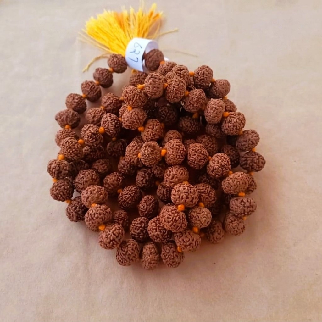 10 Mukhi Rudraksh Mala 12 MM Approx