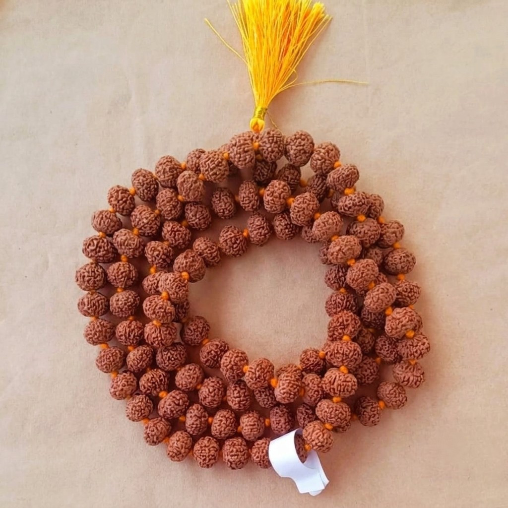 10 Mukhi Rudraksh Mala 12 MM Approx