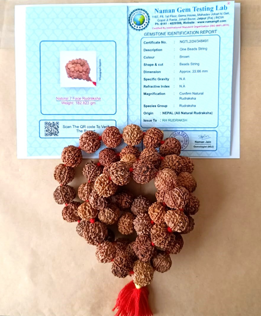 7 Mukhi Nepali Rudraksh Mala 541 Beads 19-20MM Approx