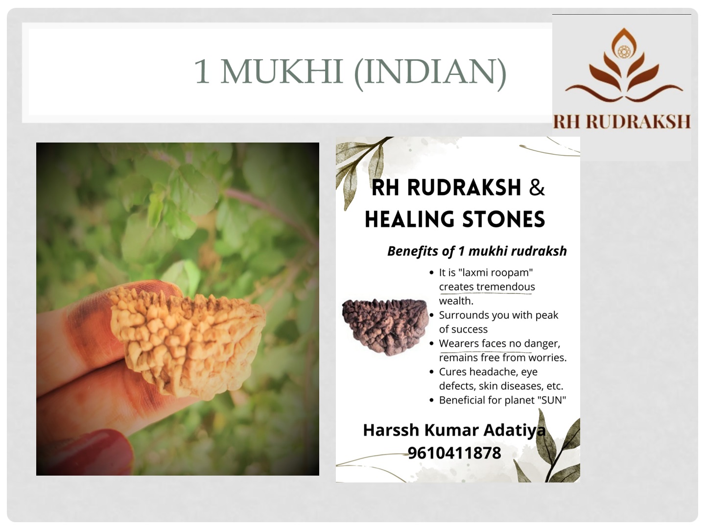 Natural 1 Mukhi Collector Rudraksh
