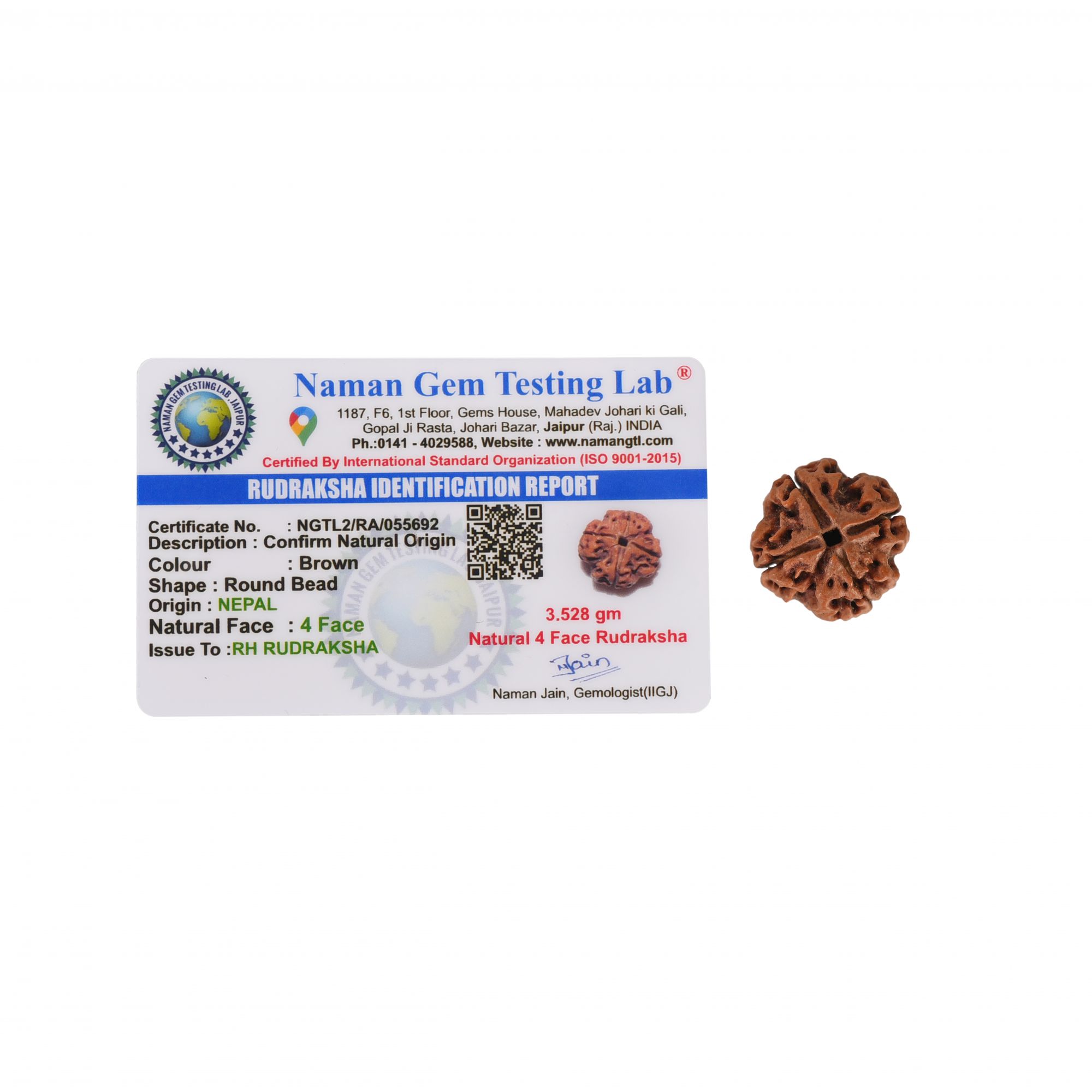 Natural 4 Mukhi Rudraksh Nepali