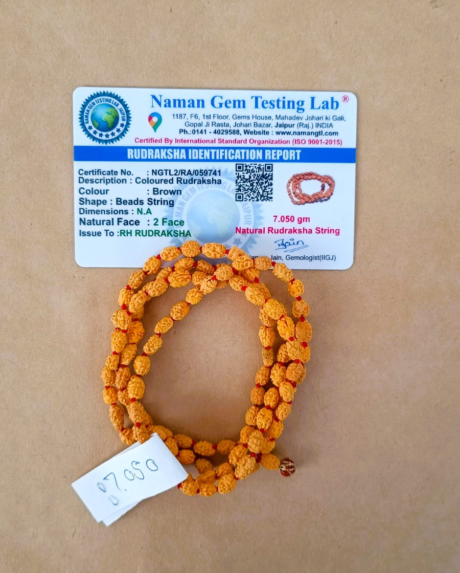 2 Mukhi Rudraksh Mala 8MM