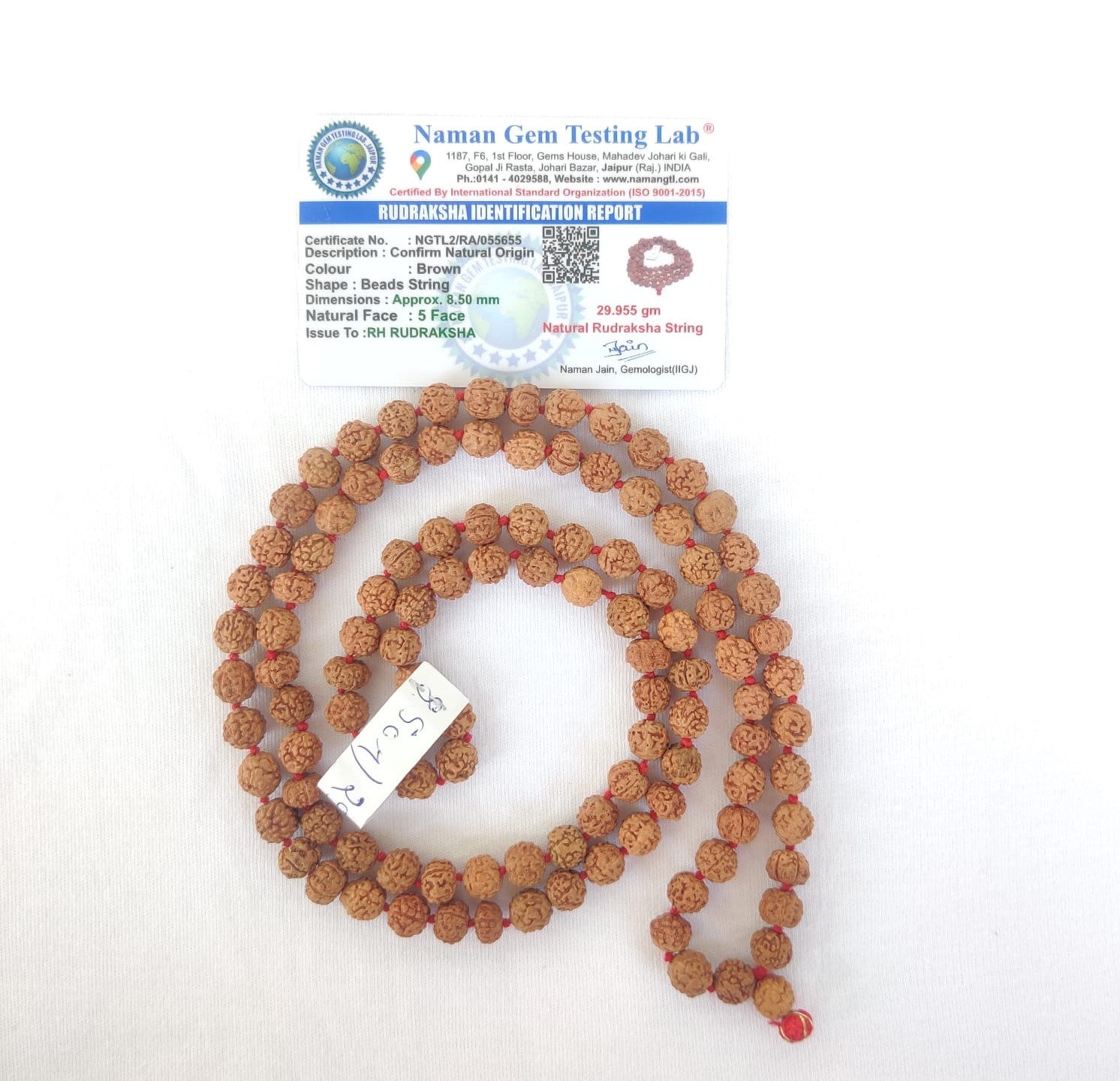 5 Mukhi Rudraksh Mala 8 MM to 85MM - 1081Beads