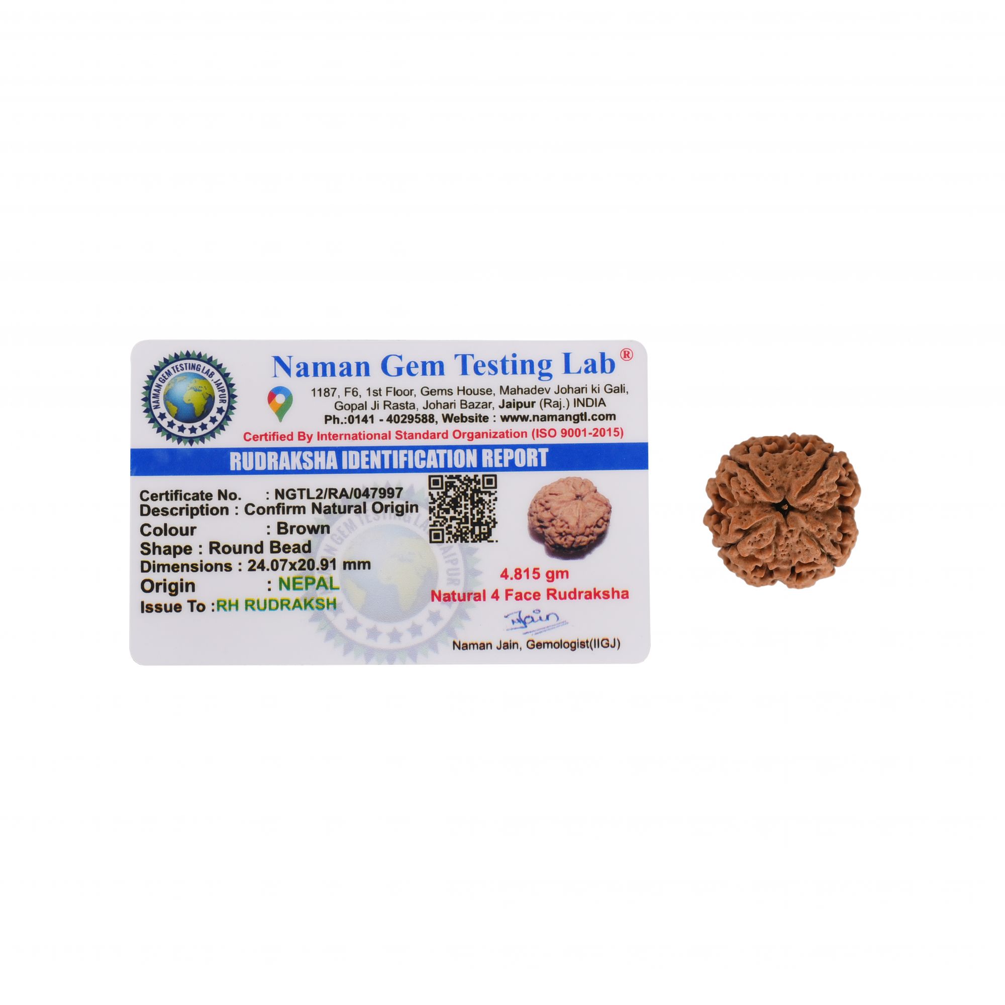 Natural 4 Mukhi Collector RudrakshNepali