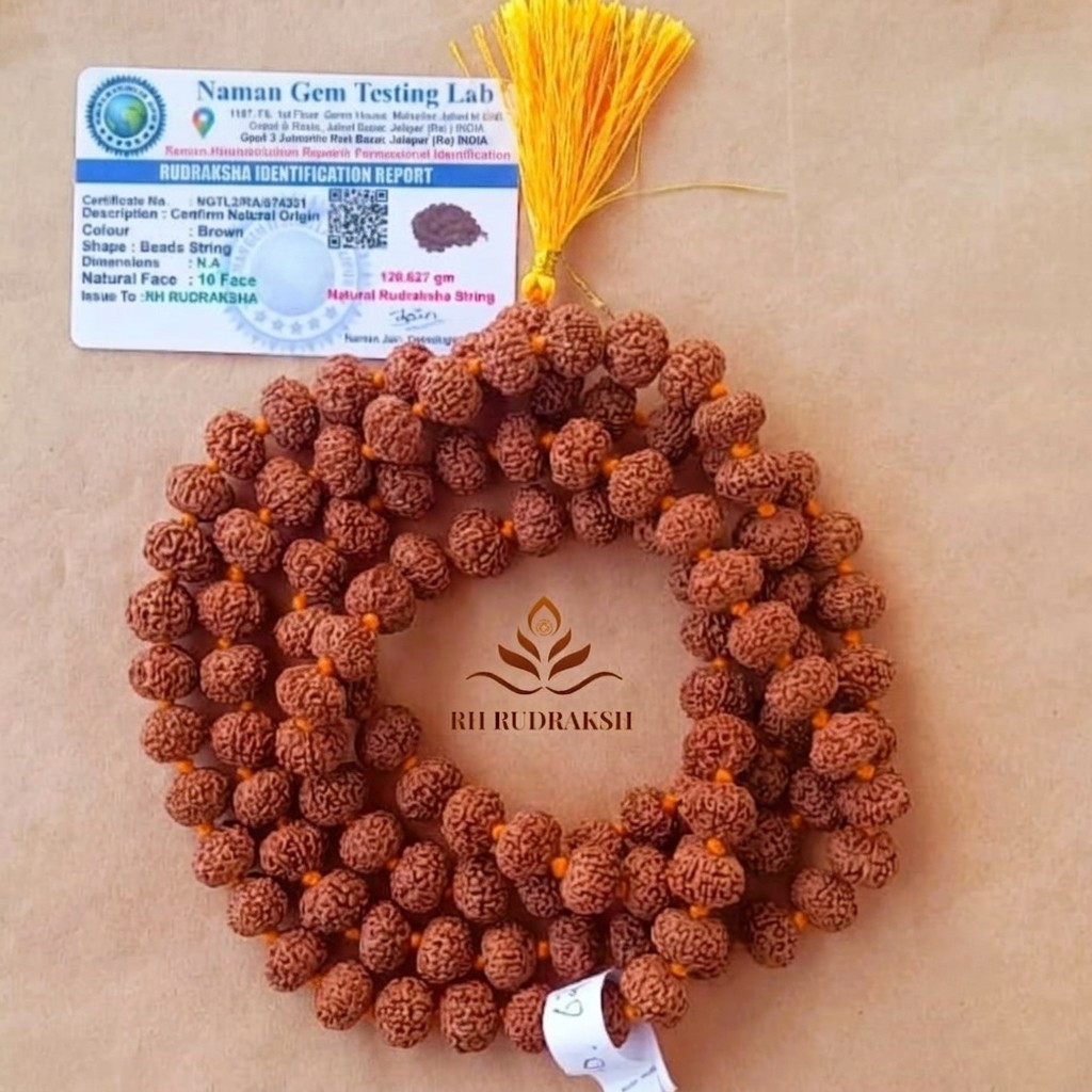 10 Mukhi Rudraksh Mala 12 MM Approx