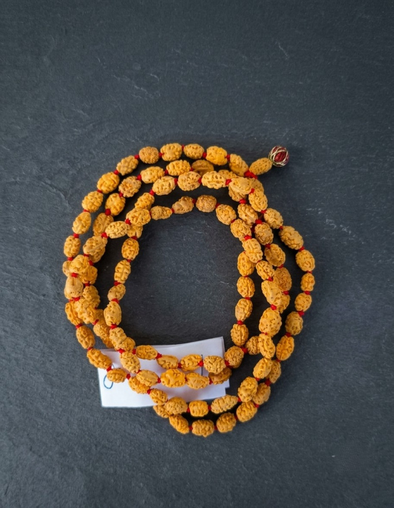 Image of 2 Mukhi Rudraksh Mala 8MM