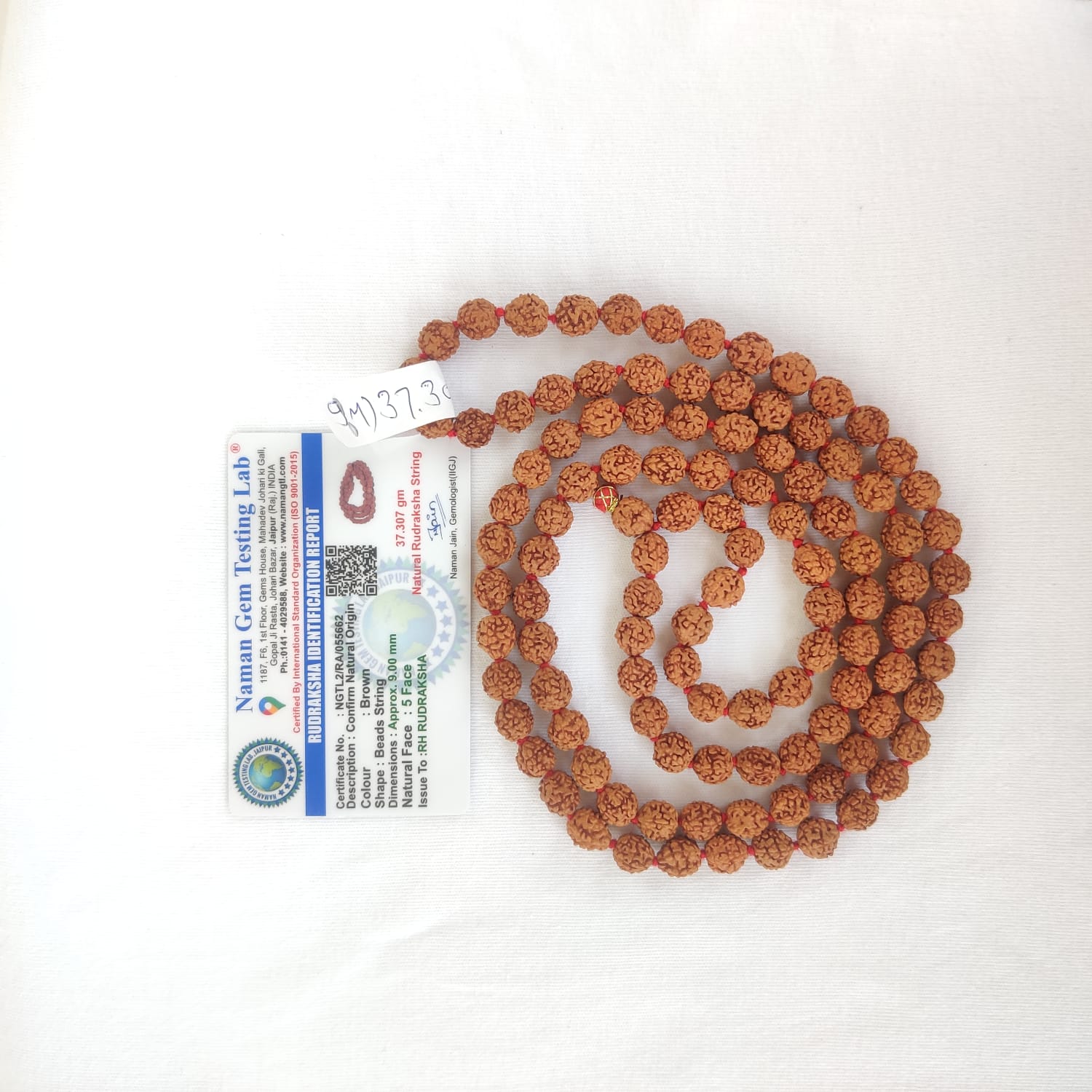 5 Mukhi Rudraksh Mala 9 MM - 1081 Beads