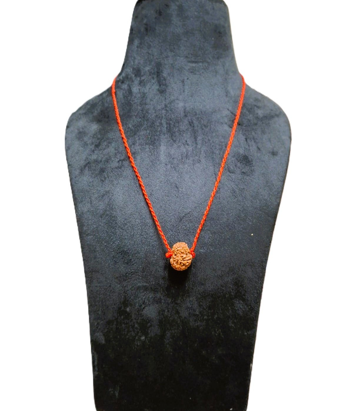 Natural 13 Mukhi Rudraksh Nepali