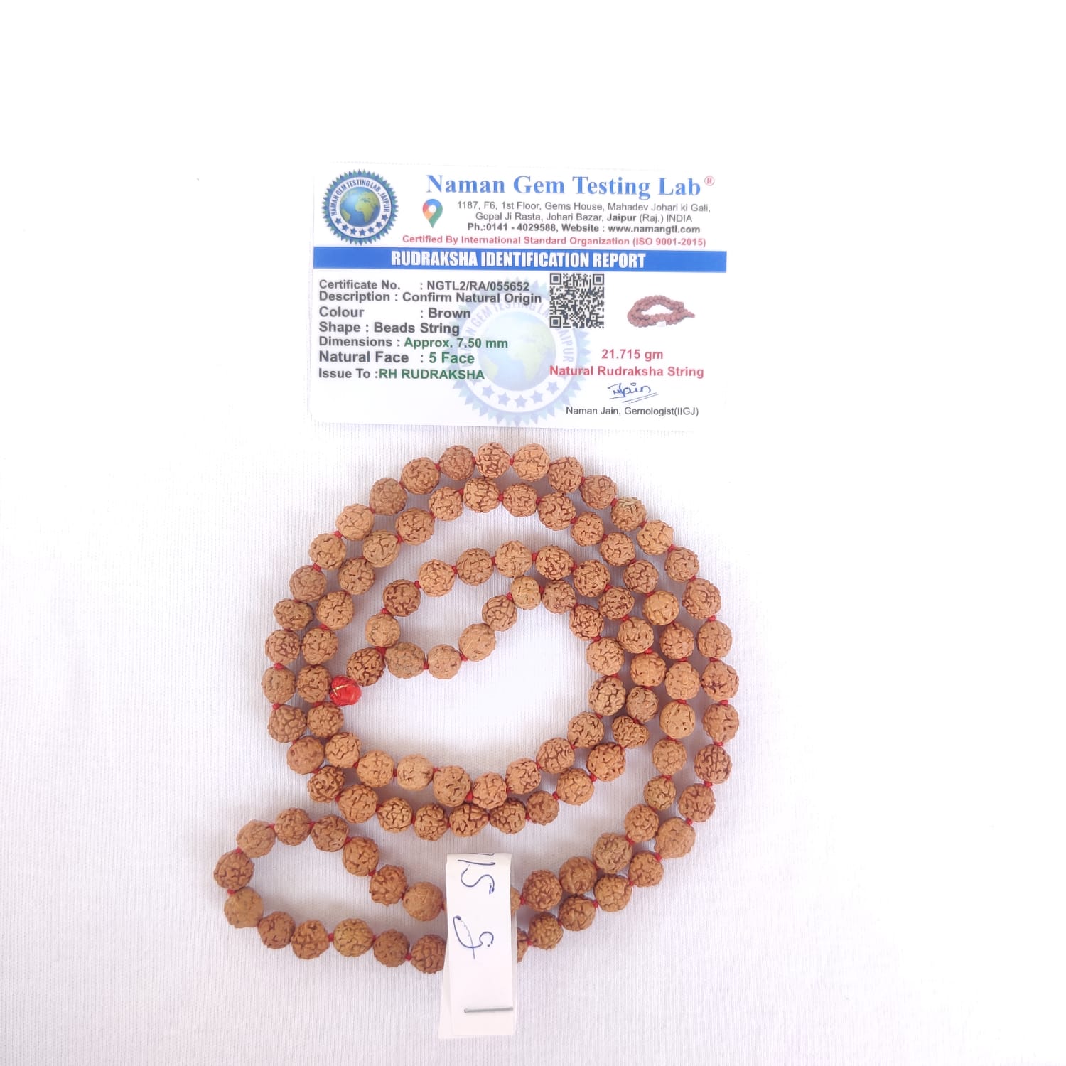 5 Mukhi Rudraksh Mala 75MM - 1081 Beads