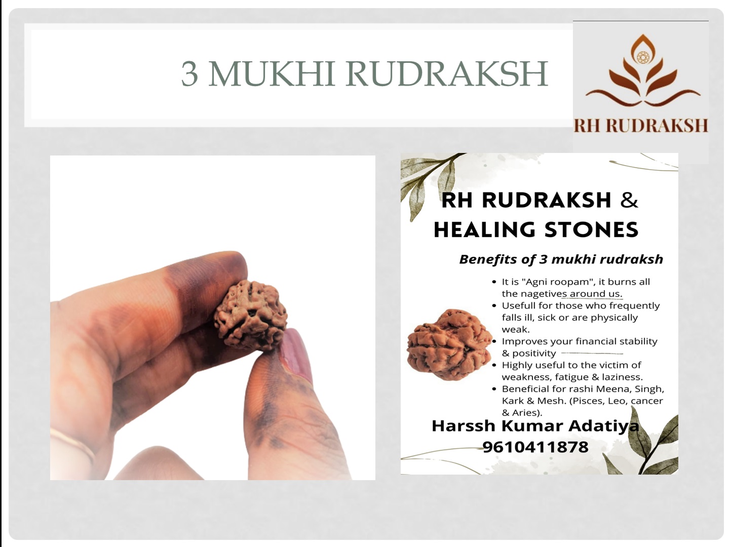 Natural 3 Mukhi Rudraksh Nepali