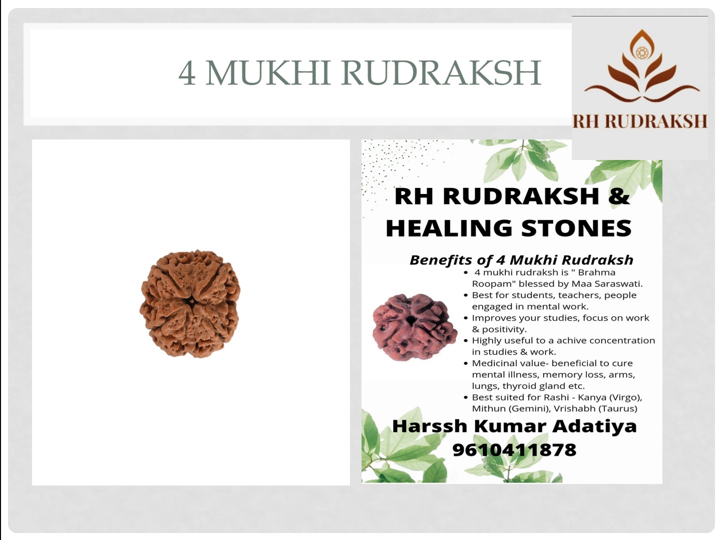 Natural 4 Mukhi Rudraksh Nepali