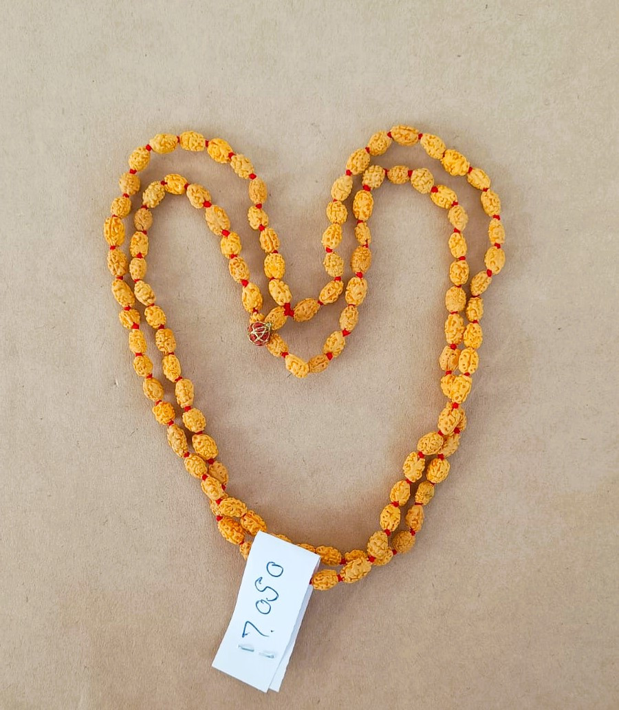 2 Mukhi Rudraksh Mala 8MM